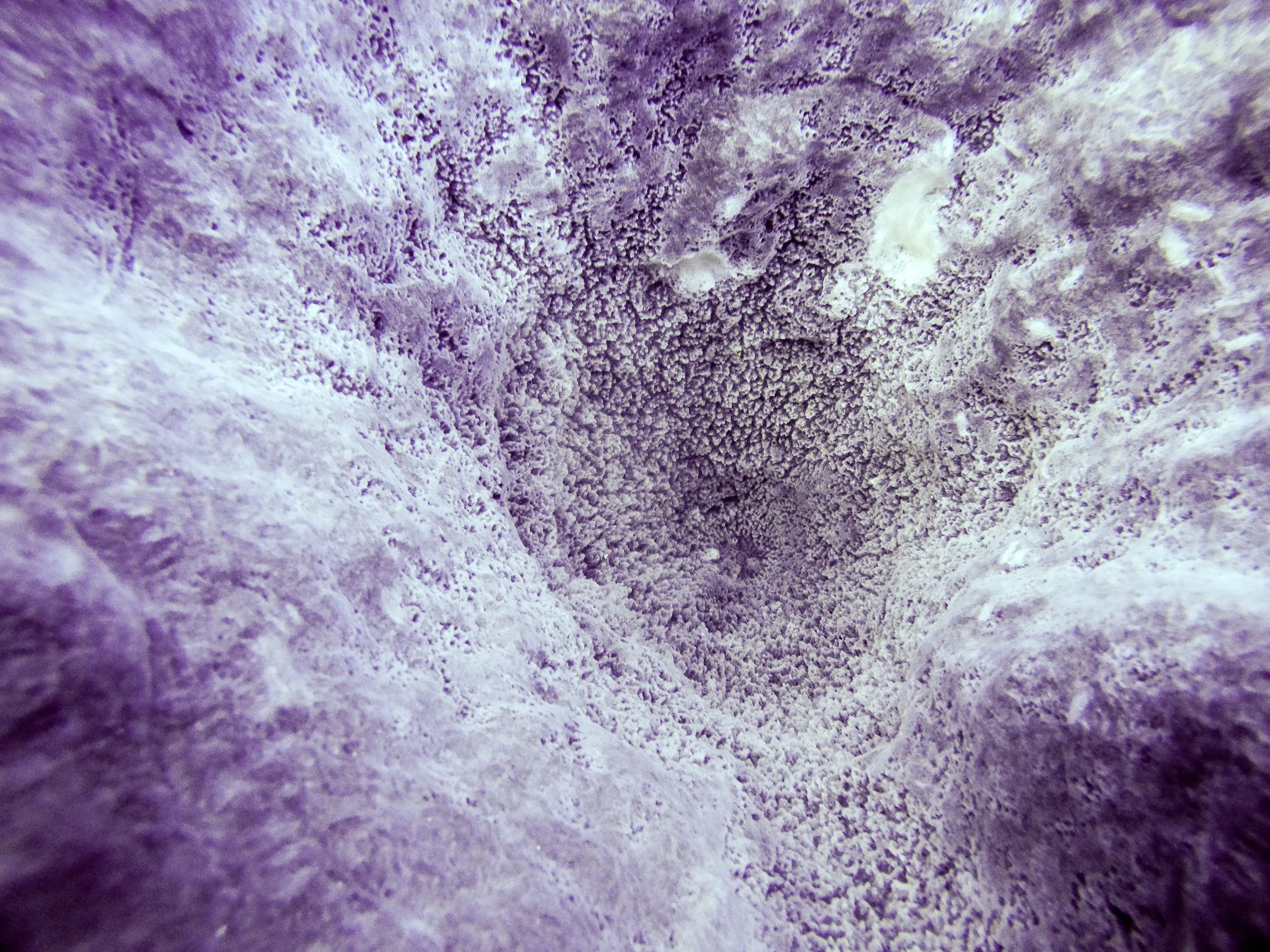 Underwater photography by Selina Cheng, coral