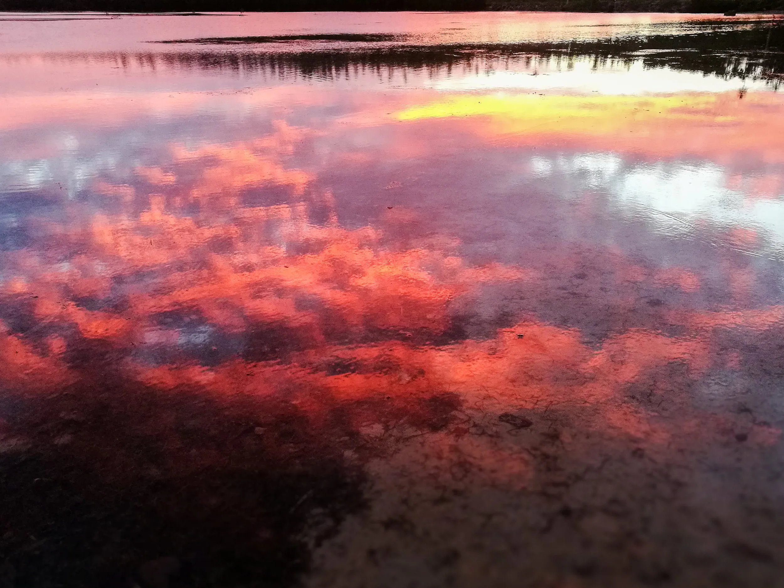 Nature photography by Selina Cheng, sunset