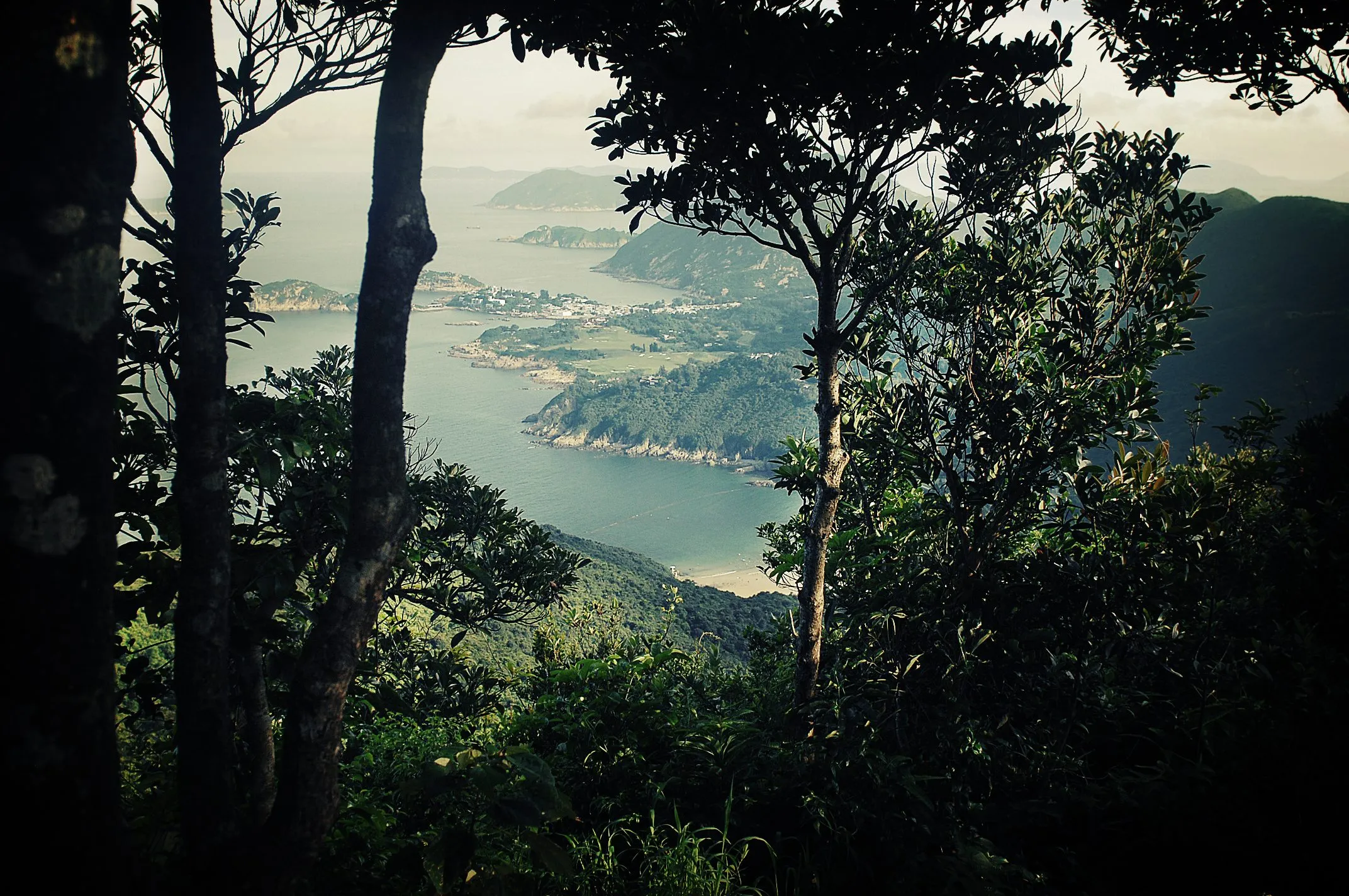 Nature photography by Selina Cheng, thrthetrees